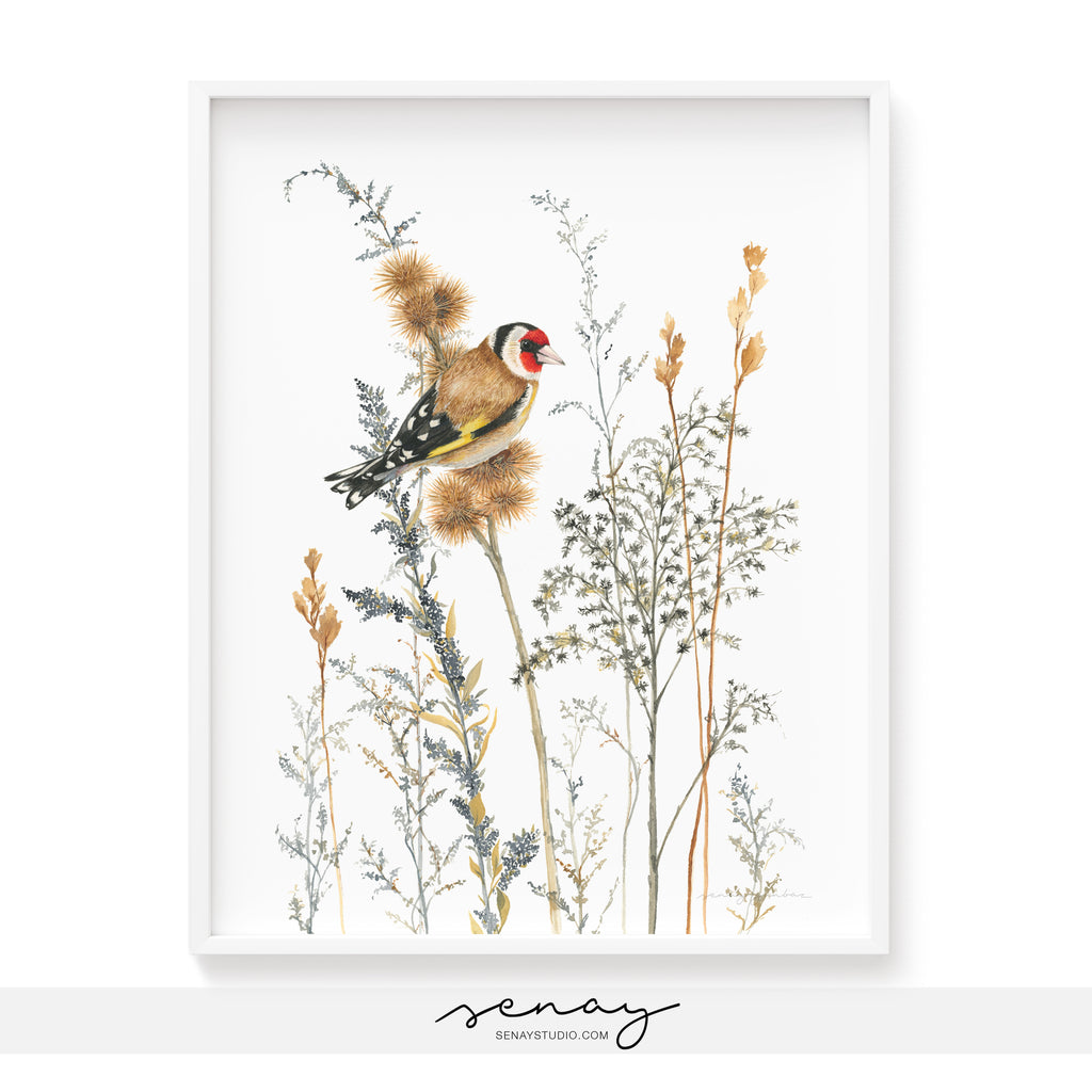 European goldfich bird cute watercolour bird in the wild by SenayStudio.com