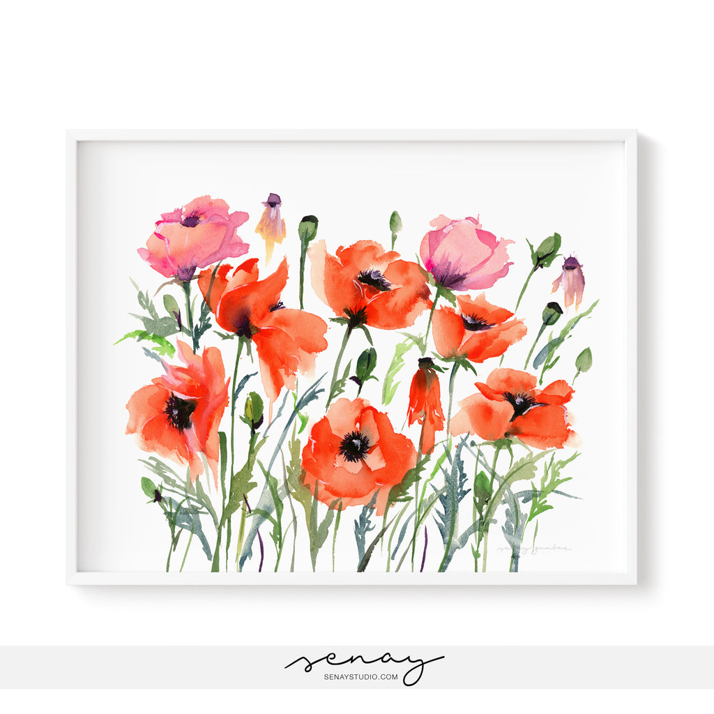 Poppy Garden