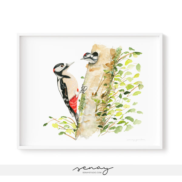 Great Spotted Woodpecker